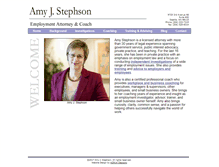 Tablet Screenshot of amystephson.com